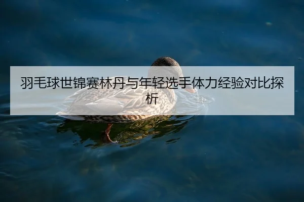 羽毛球世锦赛林丹与年轻选手体力经验对比探析