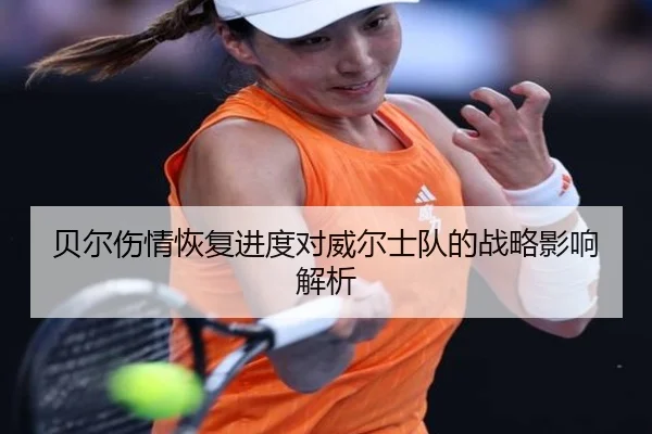 贝尔伤情恢复进度对威尔士队的战略影响解析