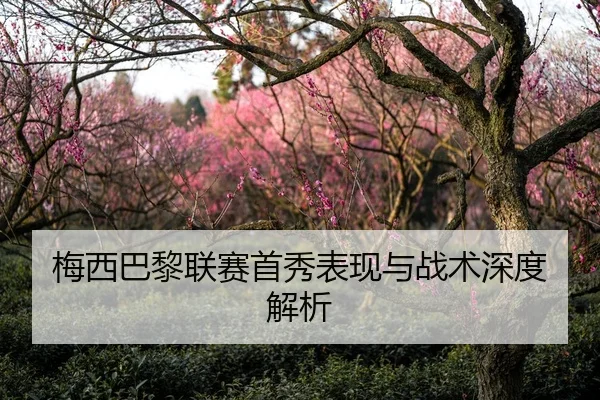 梅西巴黎联赛首秀表现与战术深度解析