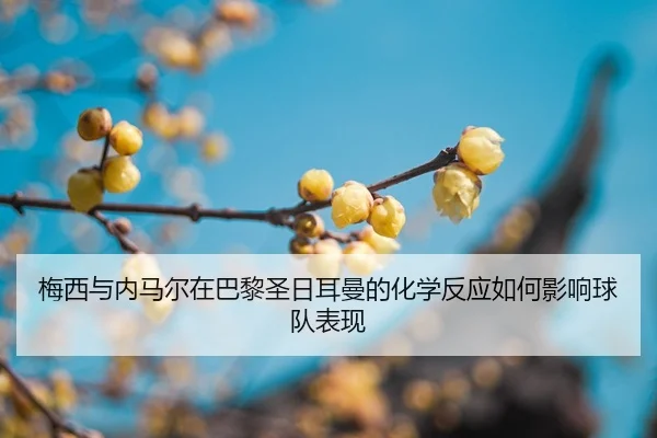 mei-xi-yu-nei-ma-er-zai-ba-li-sheng-ri-er-man-de-hua-xue-fan-ying-ru-he-ying-xiang-qiu-dui-biao-xian-2-840.jpg